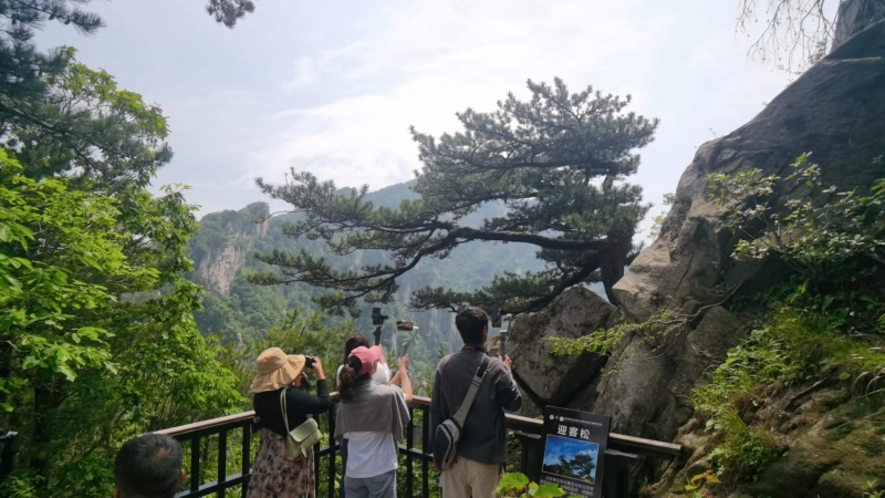 南阳旅游年票2024年,南阳如何办旅游年票卡免费