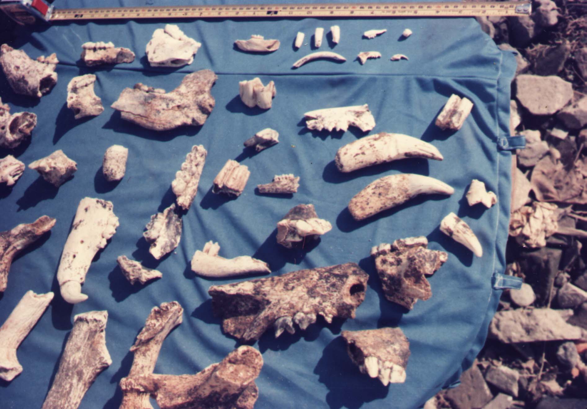 氾在古代是哪里,苏州三山岛文化