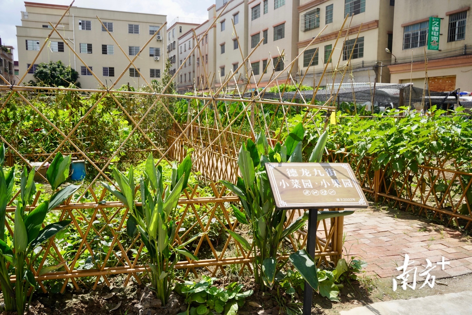 中山古镇规模最大的灯饰城,中山市古镇新中式灯饰