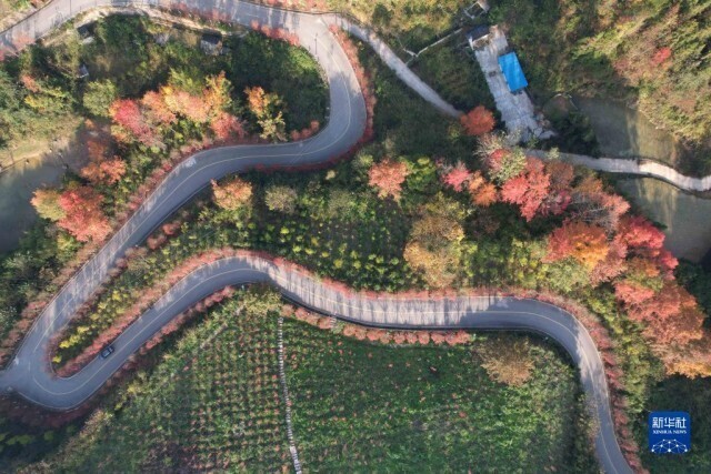 冬景迷人,冬景如画