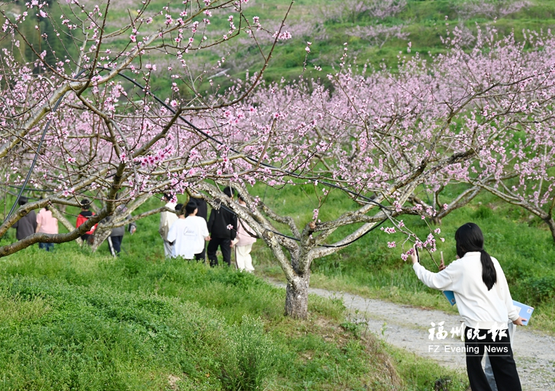 福州清明踏青好去处,福州周边踏青好去处