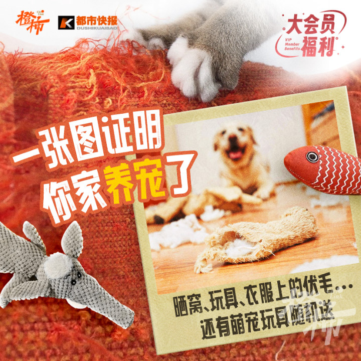 送你去蜂巢剧场过“话剧春晚”、养生筋膜枪、萌宠玩具，橙柿福利花式上新了！｜橙柿福利