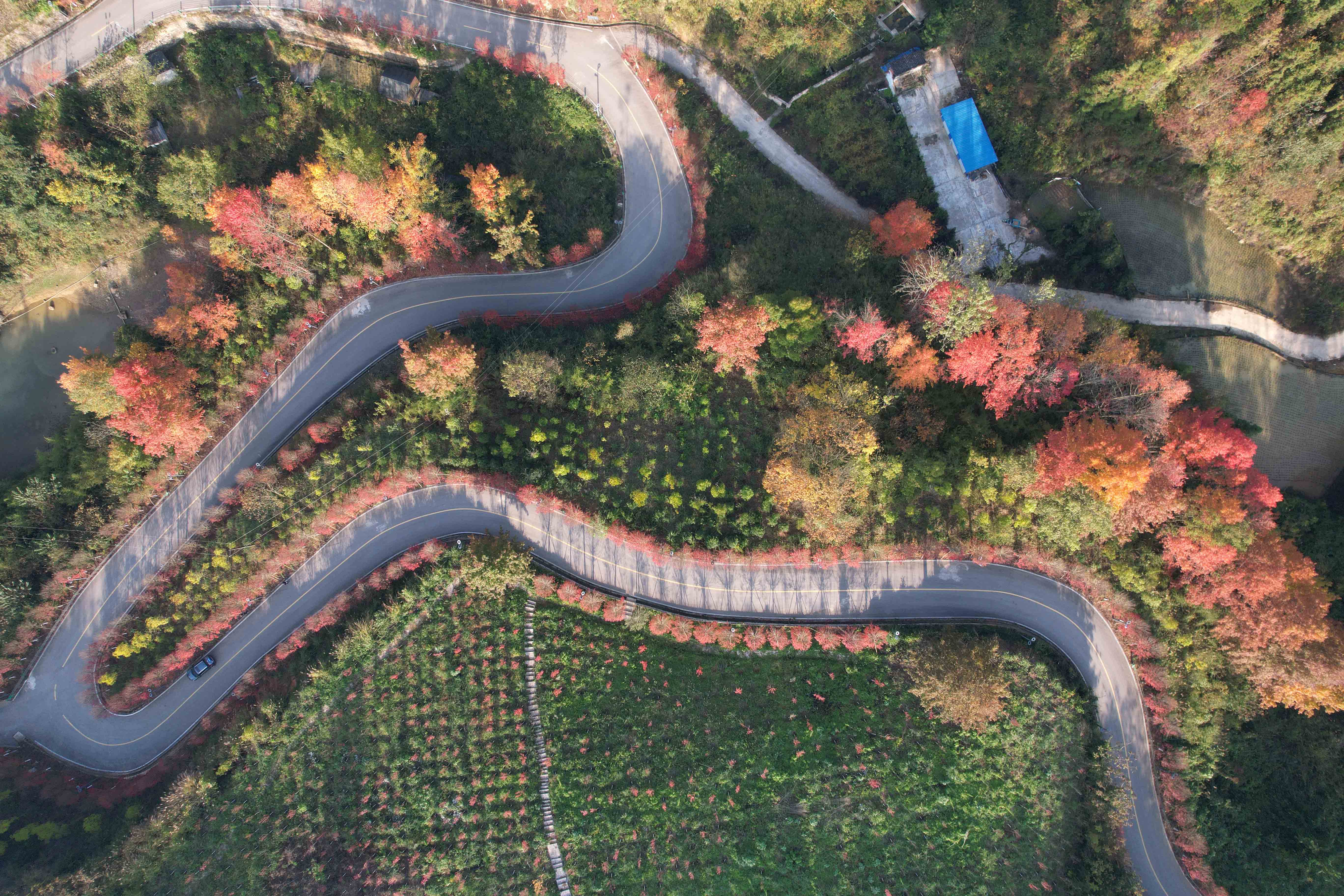 寒冷冬天美景如画,环境美景欣赏