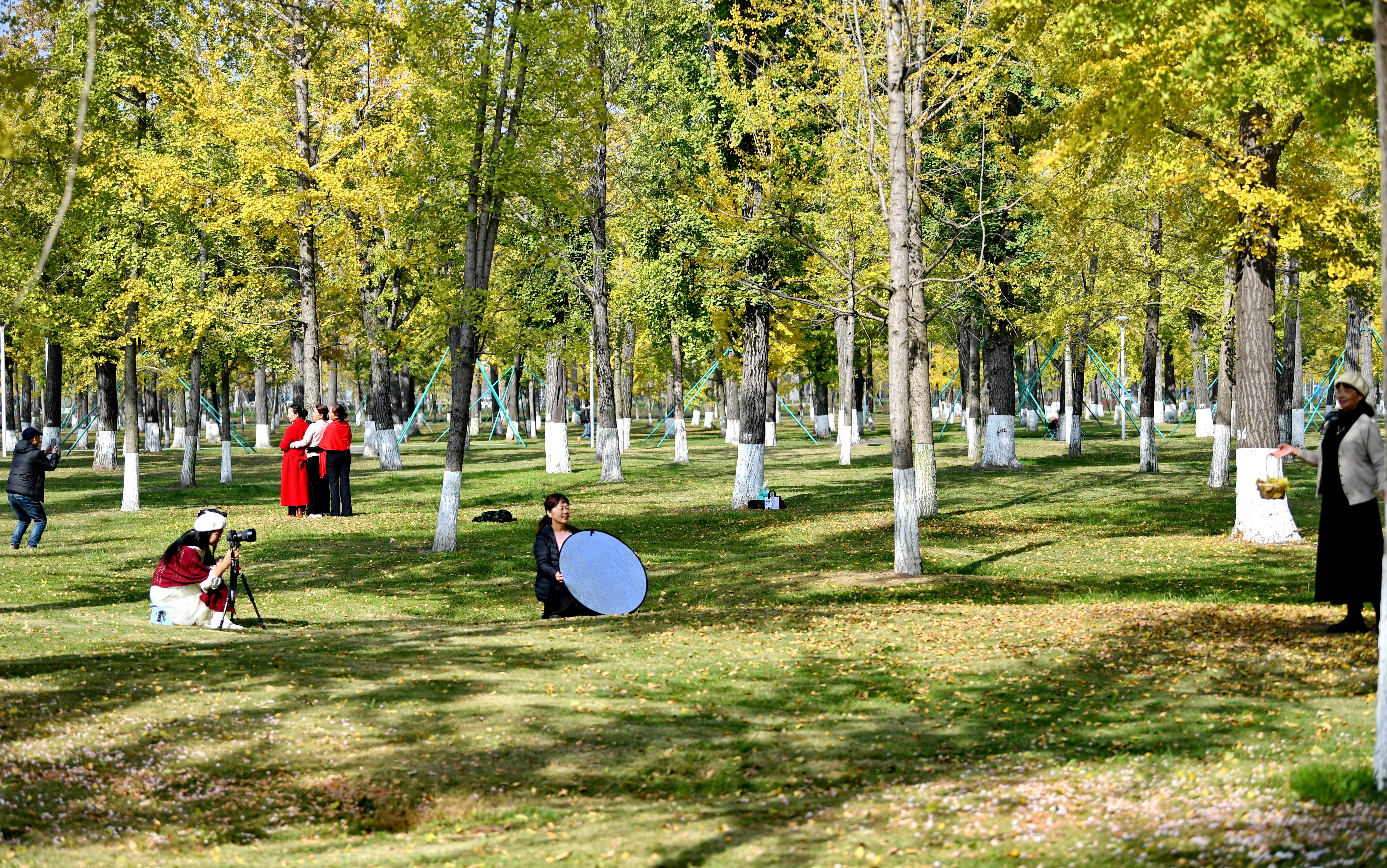 寒冷冬天美景如画,环境美景欣赏