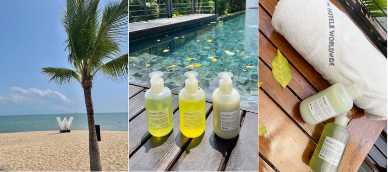 大卫尼斯与施华蔻护发精油哪个好,全球顶级护发品牌