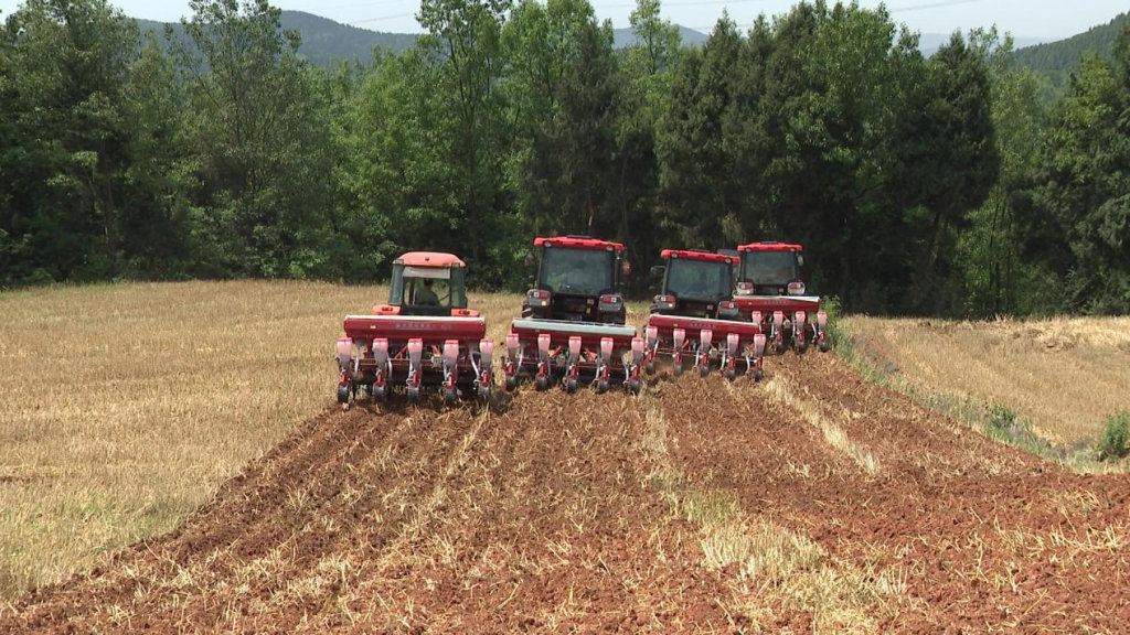 绵阳市三台县大片农田,三台县农田