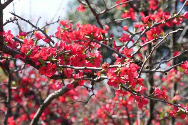 有一种云南的生活叫昆明,有一种云南生活叫西双版纳