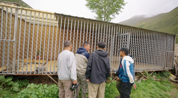 世界雪豹保护日,世界雪豹分布的国家数量