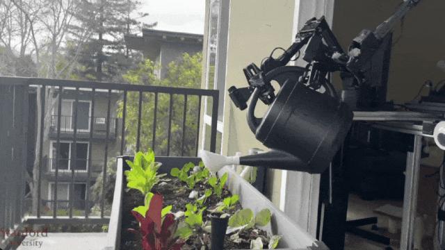 斯坦福家务,国外智能家务机器人