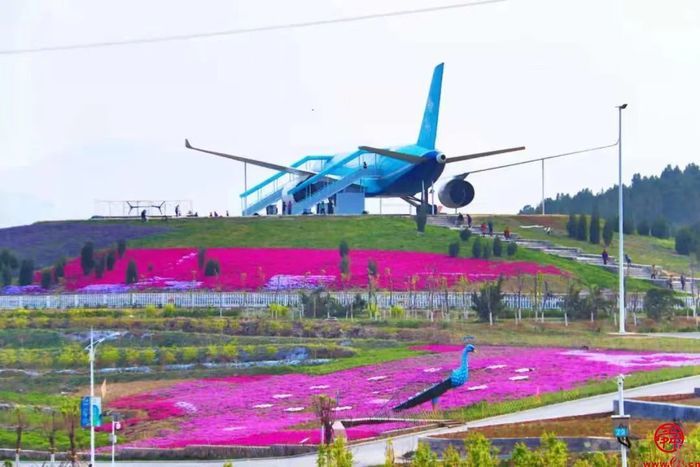 县和不设区的市,端午不一young