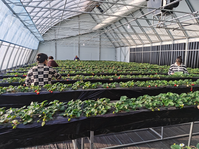 绥芬河市阜宁镇：寒冬吹风雪，经济“不降温”