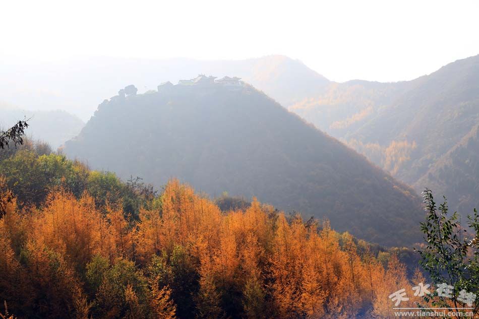 吴和平中山,吴和平