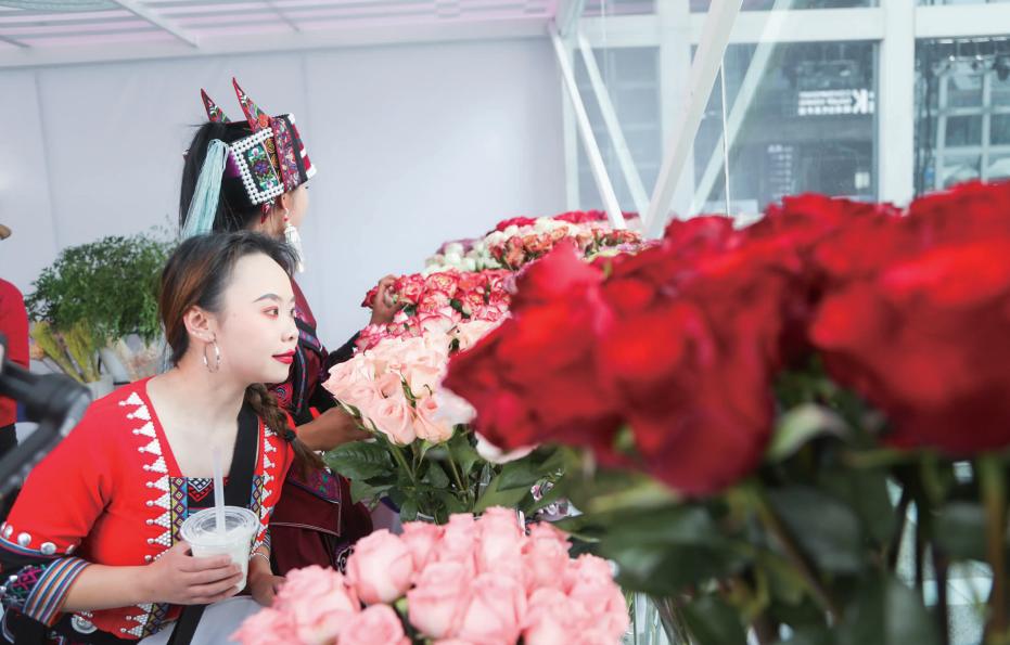 茶咖网络文化节保山,茶咖文化周