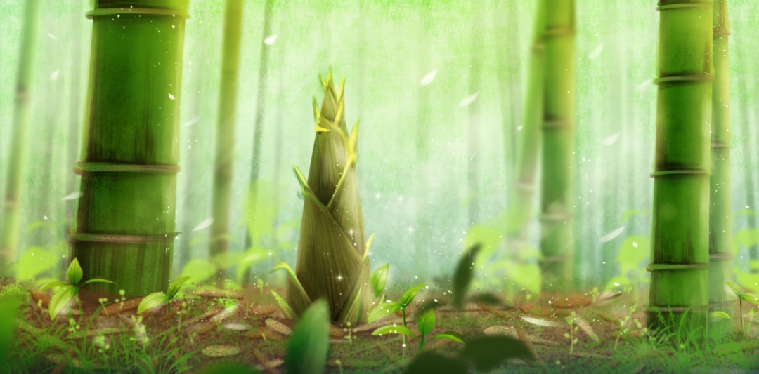 春日当季时蔬指南尝鲜唤醒味蕾,多款春日美味唤醒味蕾