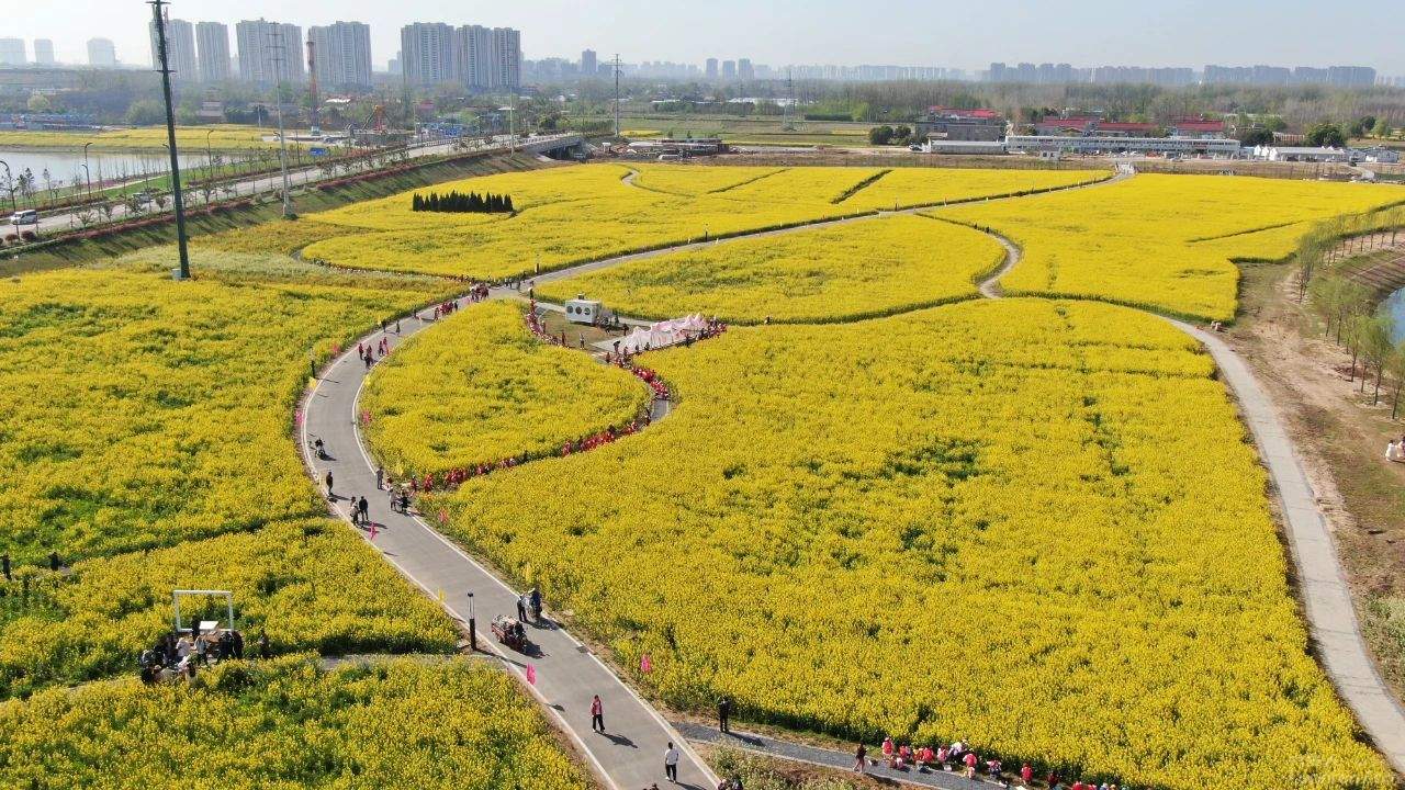 坐上开往春天的小火车,踏上开往春天的火车