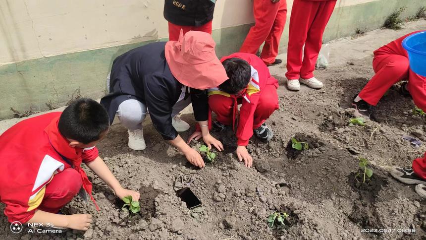 佳木斯市郊区：用德蕴蓄一种力量促进学生身心健康全面发展