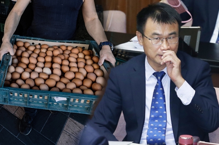 台湾蛋荒事件,台湾蛋蛋危机