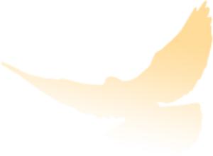 最新通知看牙补贴,马上领取种牙补贴