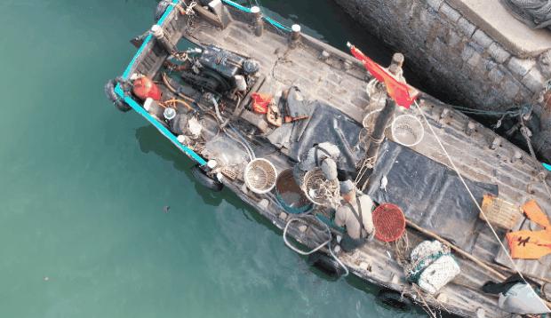 日照小海虾批发,日照小开海