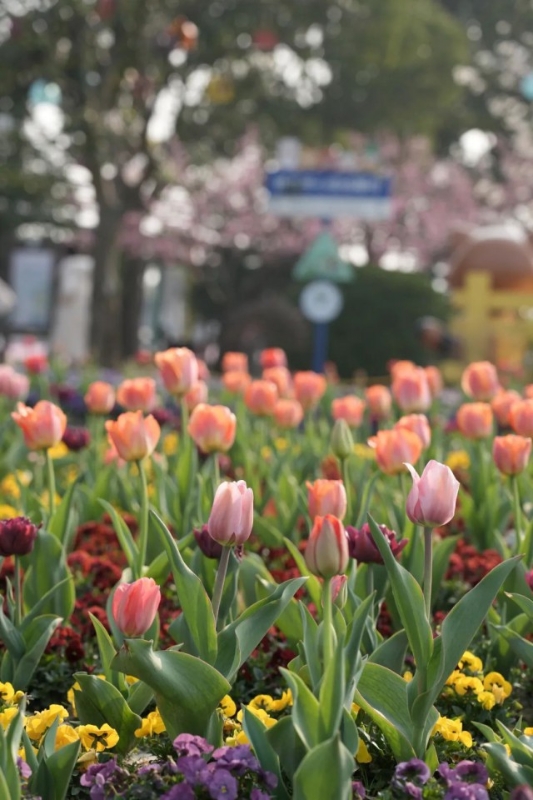 带孩子五日游经典线路推荐,带孩子自驾游4-5推荐路线
